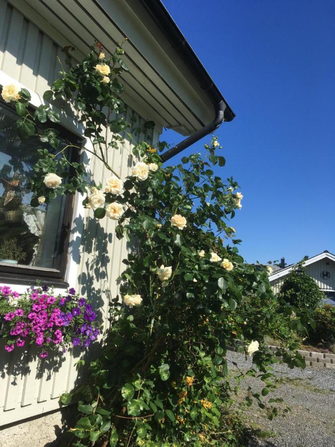 Airbnbekasberg Olofstorp Bagian luar foto