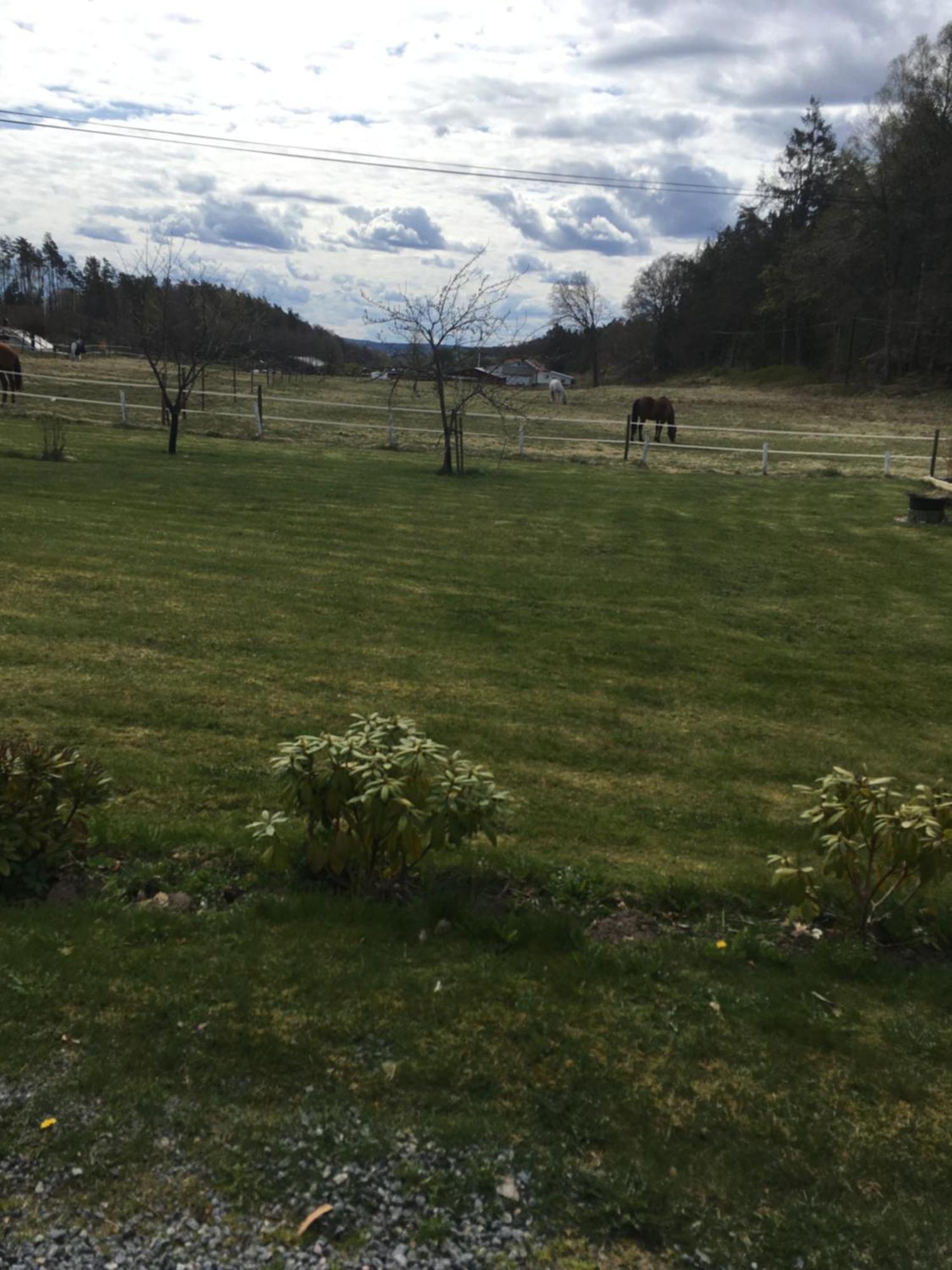 Airbnbekasberg Olofstorp Bagian luar foto