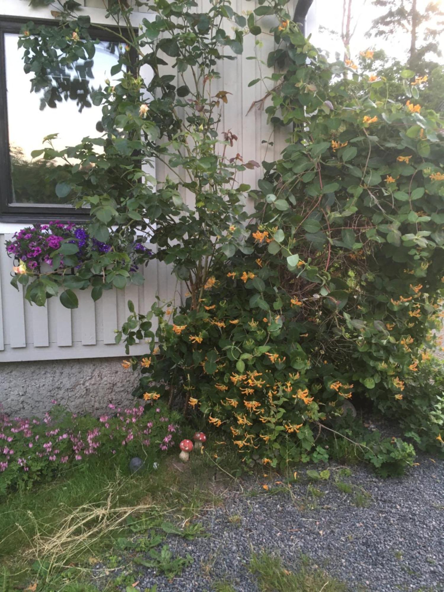 Airbnbekasberg Olofstorp Bagian luar foto