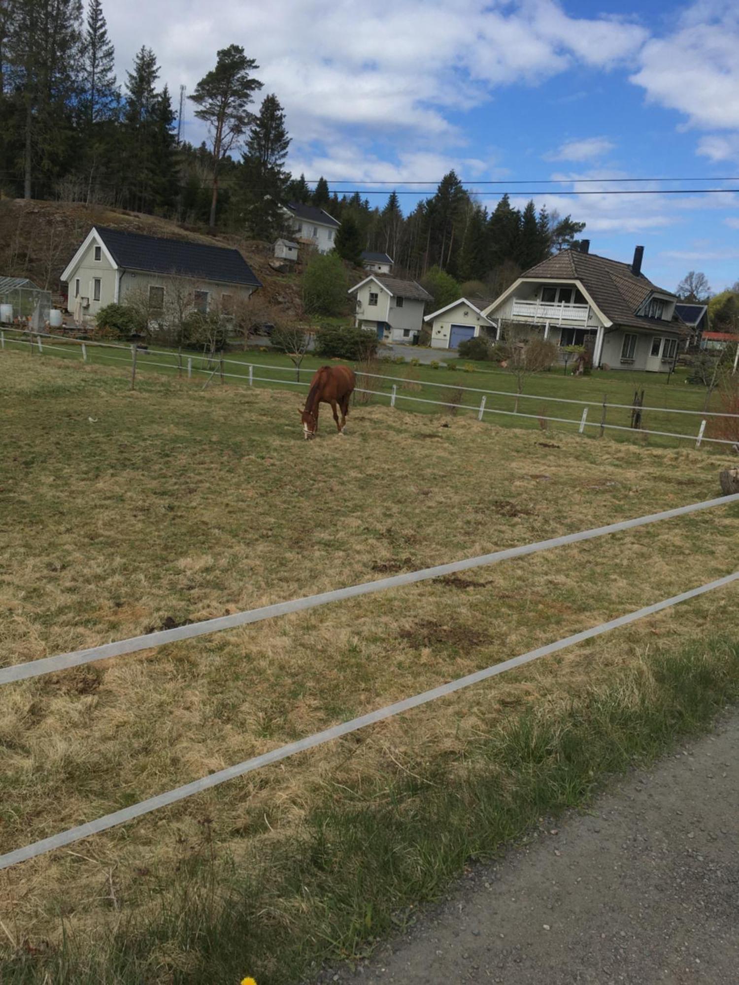Airbnbekasberg Olofstorp Bagian luar foto