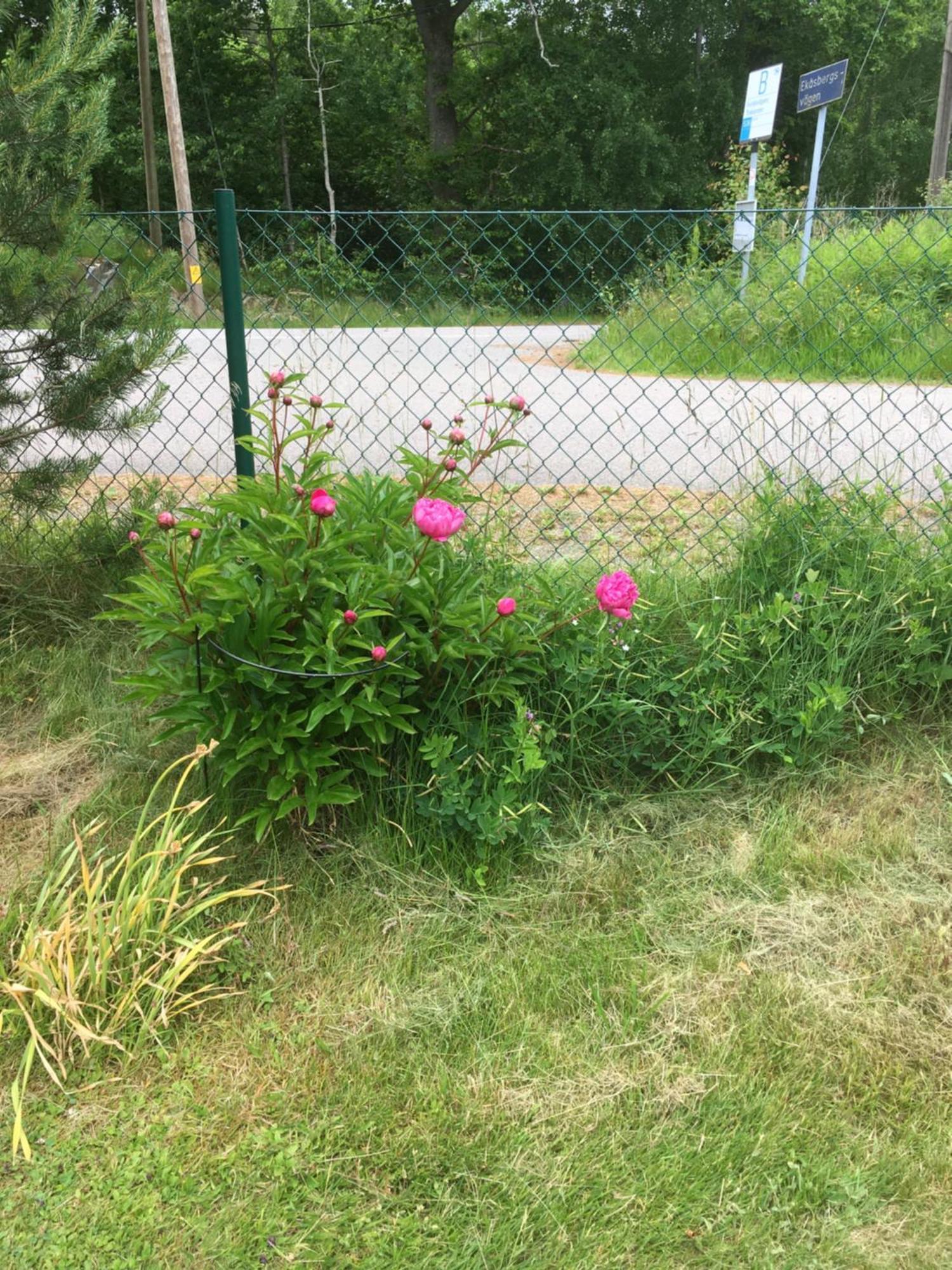 Airbnbekasberg Olofstorp Bagian luar foto