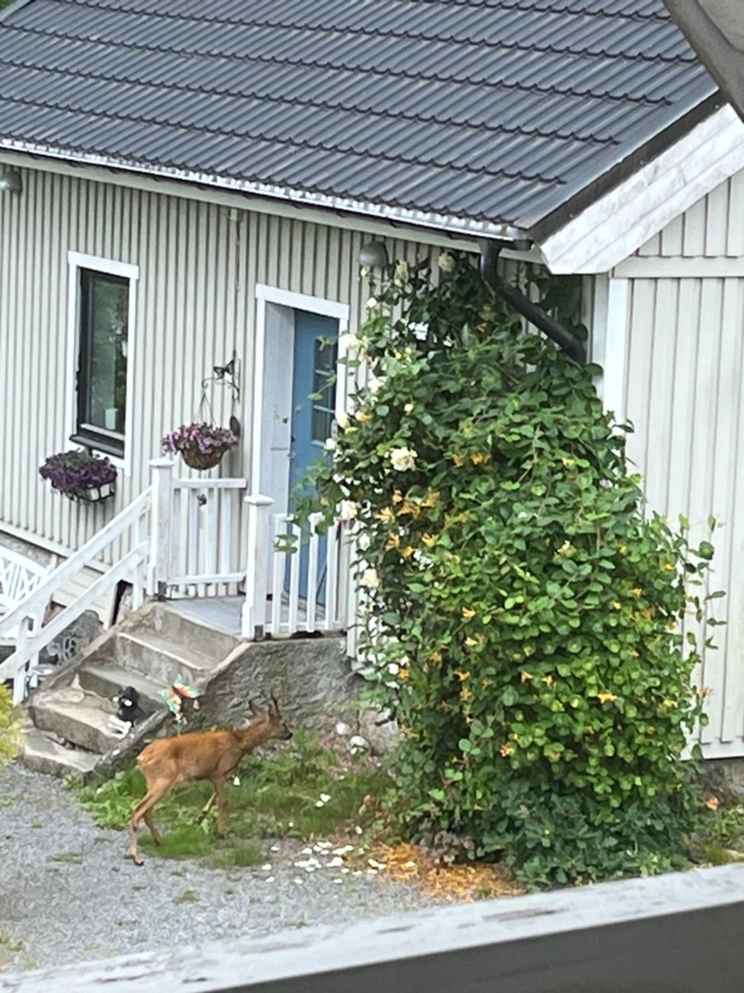 Airbnbekasberg Olofstorp Bagian luar foto